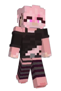 sodapal Minecraft avatar full body