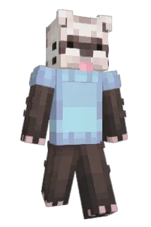 sodcuhdsuife Minecraft avatar full body
