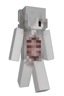 soej1 Minecraft avatar full body
