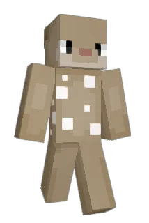 soferty Minecraft avatar full body