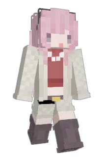 soggety Minecraft avatar full body