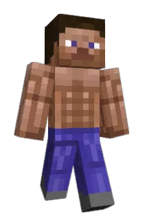 soggychick Minecraft avatar full body