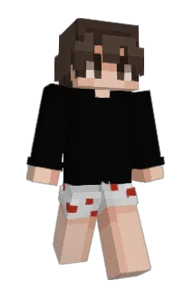 sojek21 Minecraft avatar full body