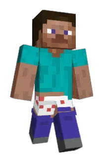 sokoli776 Minecraft avatar full body