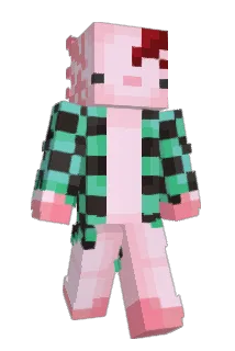 sokumulo Minecraft avatar full body