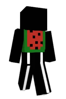 solarsass Minecraft avatar full body
