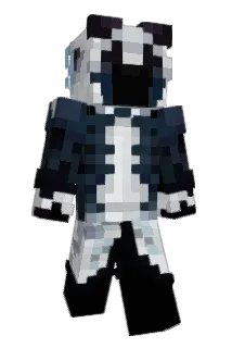 solifbbl Minecraft avatar full body