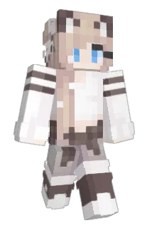 sollace579ytb Minecraft avatar full body