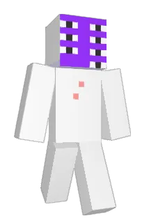 sololi Minecraft avatar full body