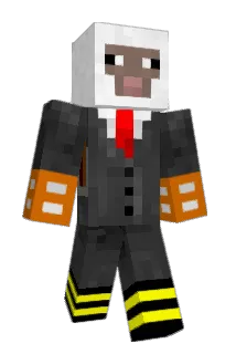 someikoe Minecraft avatar full body