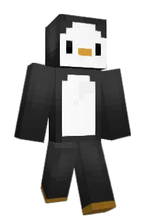 son9664 Minecraft avatar full body