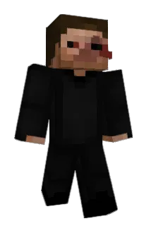 sonegado Minecraft avatar full body