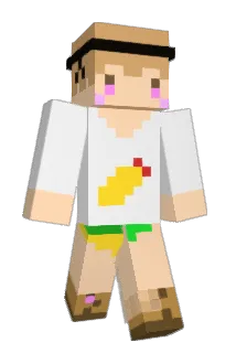 sonfn_ Minecraft avatar full body