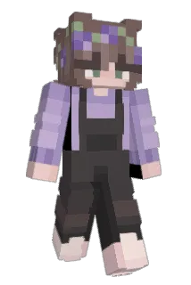 soniccat5678 Minecraft avatar full body