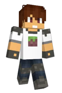 sonichazard Minecraft avatar full body