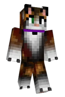 sonicstrong1979 Minecraft avatar full body