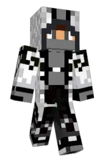 sonicwolf123 Minecraft avatar full body