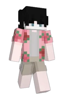 soniczr Minecraft avatar full body