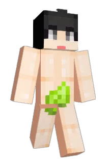 soondubu77 Minecraft avatar full body