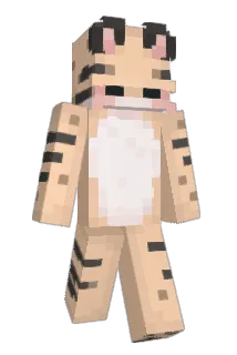 soonhoons Minecraft avatar full body