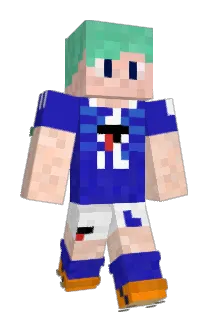 sota2486 Minecraft avatar full body
