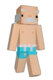 souhsa Minecraft avatar full body