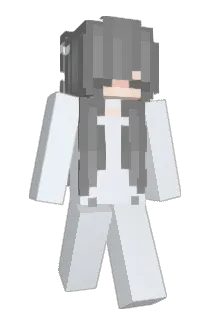 soulle55 Minecraft avatar full body