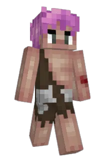 soulsMC Minecraft avatar full body
