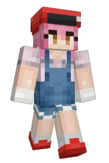 soup_64 Minecraft avatar full body