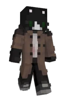 soupncat Minecraft avatar full body