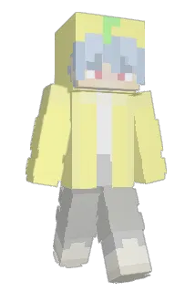 sournil Minecraft avatar full body