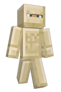 sous Minecraft avatar full body