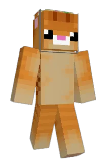 soy_salmon Minecraft avatar full body