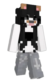 soypeppa Minecraft avatar full body
