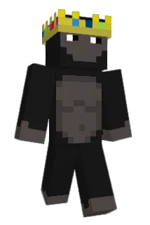 sp4dyz Minecraft avatar full body