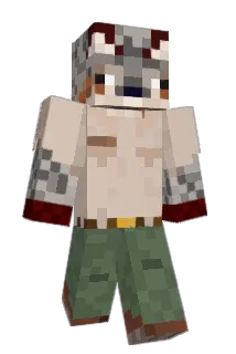 spacebro123 Minecraft avatar full body