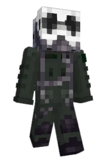 spacedbtw Minecraft avatar full body