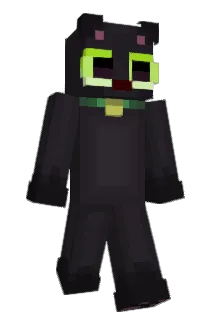 spacedsock Minecraft avatar full body