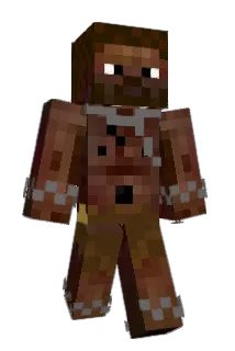 spacehippo11 Minecraft avatar full body