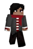 spacexbf Minecraft avatar full body