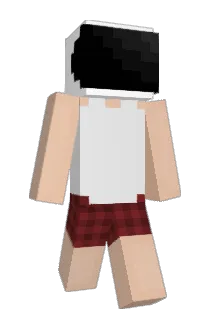 spacexboughtme Minecraft avatar full body