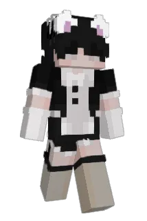 spacezip Minecraft avatar full body