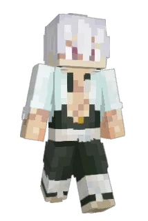speedfire9654 Minecraft avatar full body