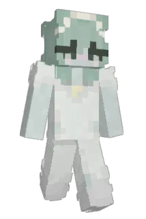 spencrs Minecraft avatar full body
