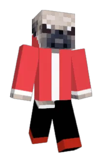 sphericaltye103 Minecraft avatar full body