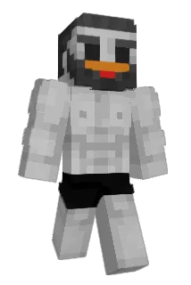 spicydog327 Minecraft avatar full body