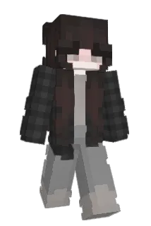 spicyinabag Minecraft avatar full body