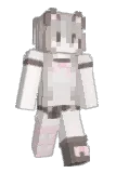 spidercoder09 Minecraft avatar full body