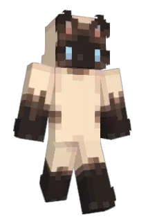 spiritb_x Minecraft avatar full body