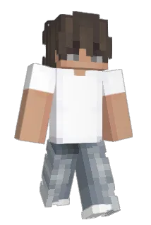 spkm8393 Minecraft avatar full body